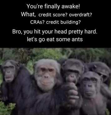 You're finally awake! What, credit score? overdraft? CRAs? credit building? Bro, you hit your head pretty hard, let's go eat some ants